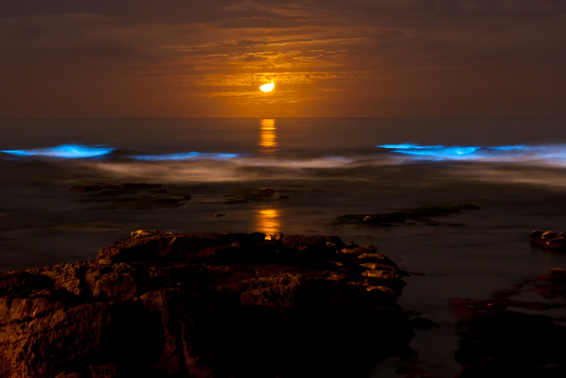 Illustration for article titled Making a Stunning, Glow-in-the-Dark Fountain Is Surprisingly Simple
